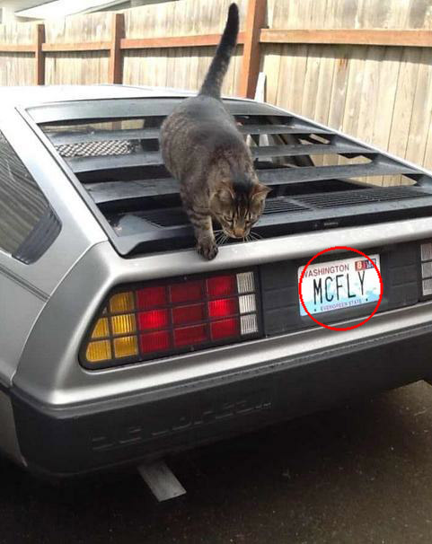 Back to the Future License Plate