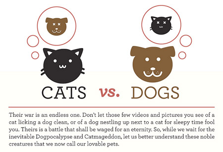 pictures of cats and dogs. When it comes to cats and dogs
