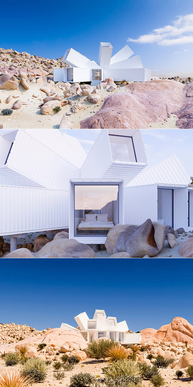 Joshua Tree Shipping Container