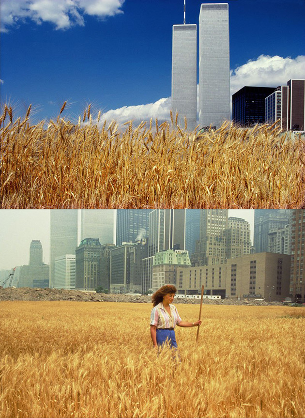 Wheat Land NYC