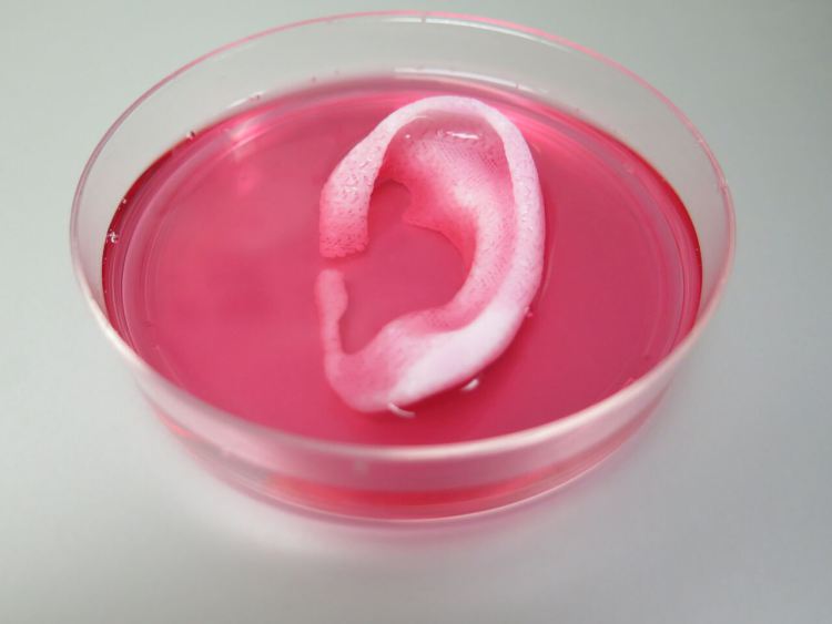 3D-Printed Ear 