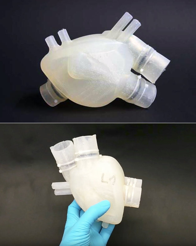 3D-Printed Heart