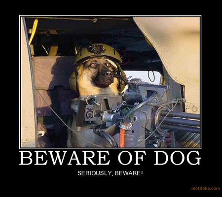 30 Hilarious Animal Demotivational Posters TechEBlog