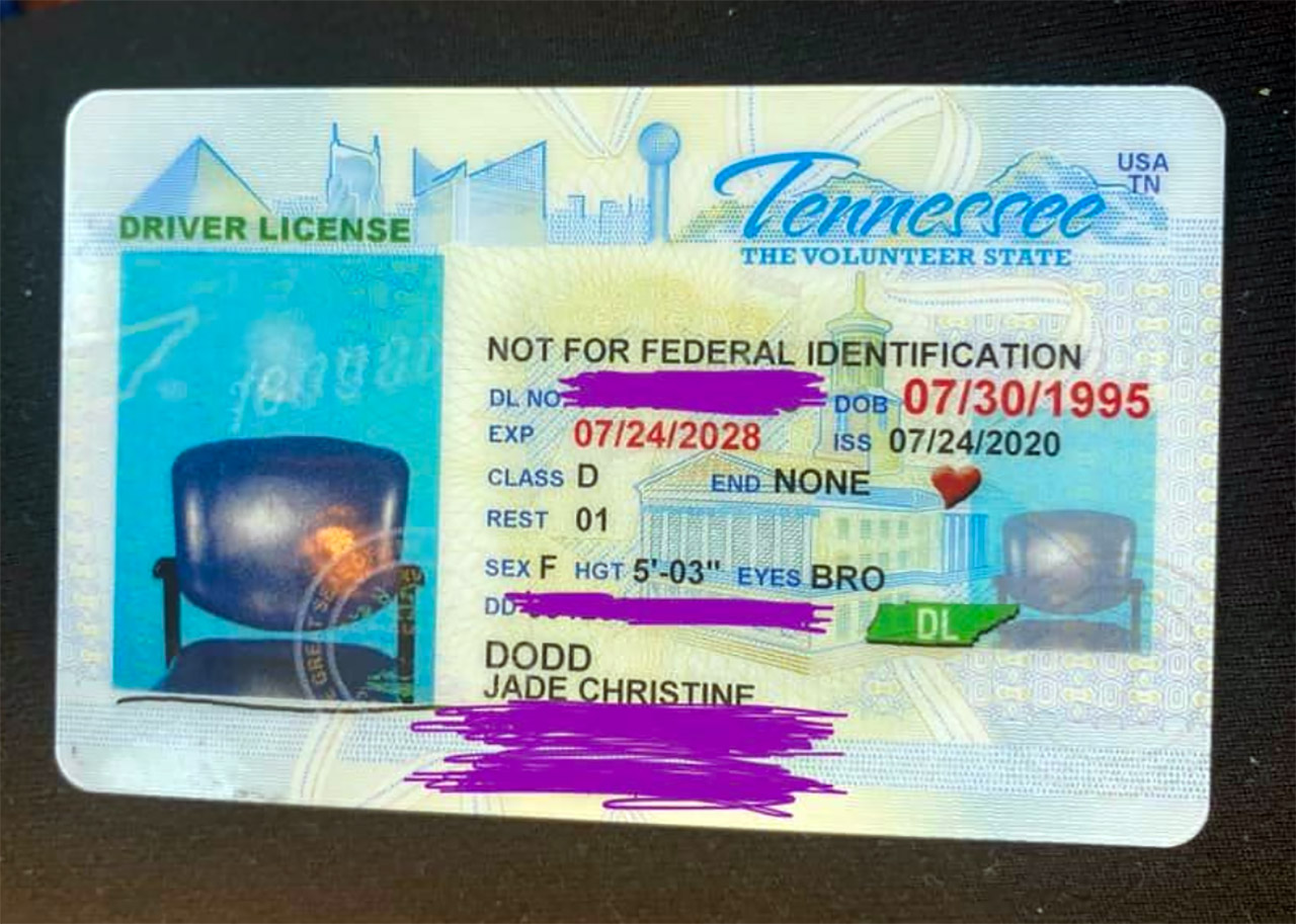 DMV Empty Chair Driver's License