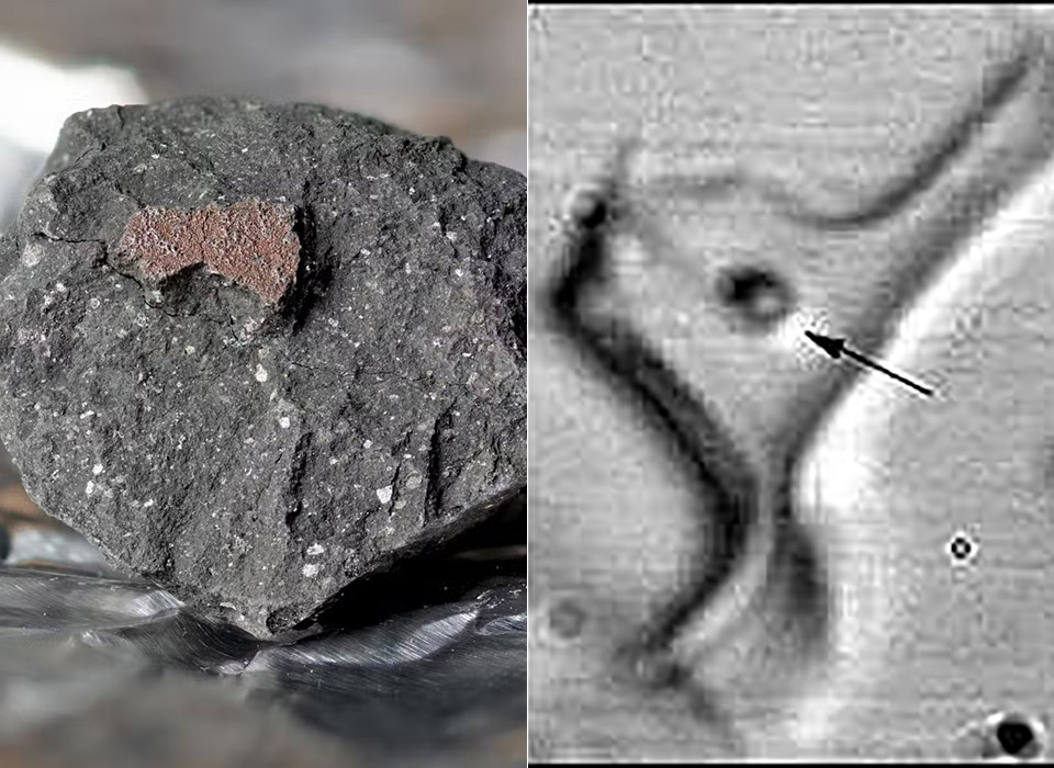 Extraterrestrial Liquid Water in Meteorite Winchcombe