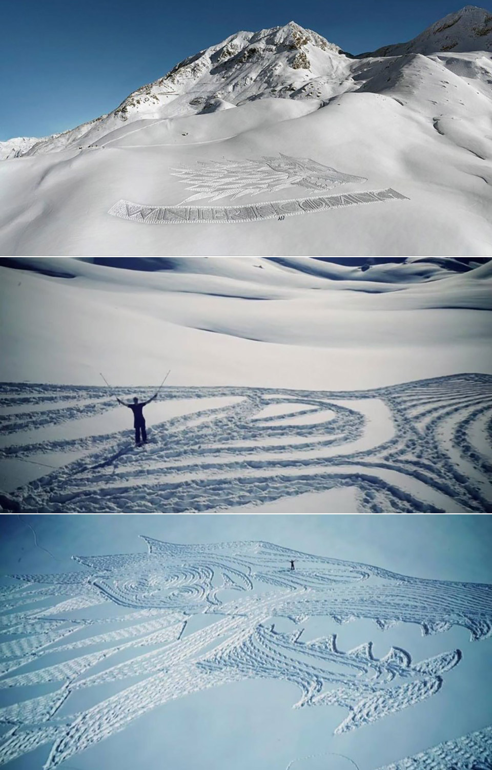 Game of Thrones Direwolf Snow Art