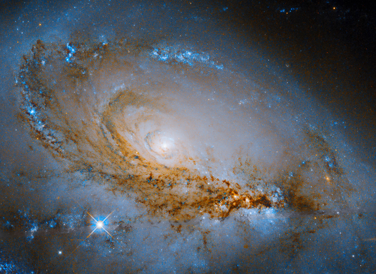 Hubble Space Telescope Blue Spiral Galaxy NGC 1961