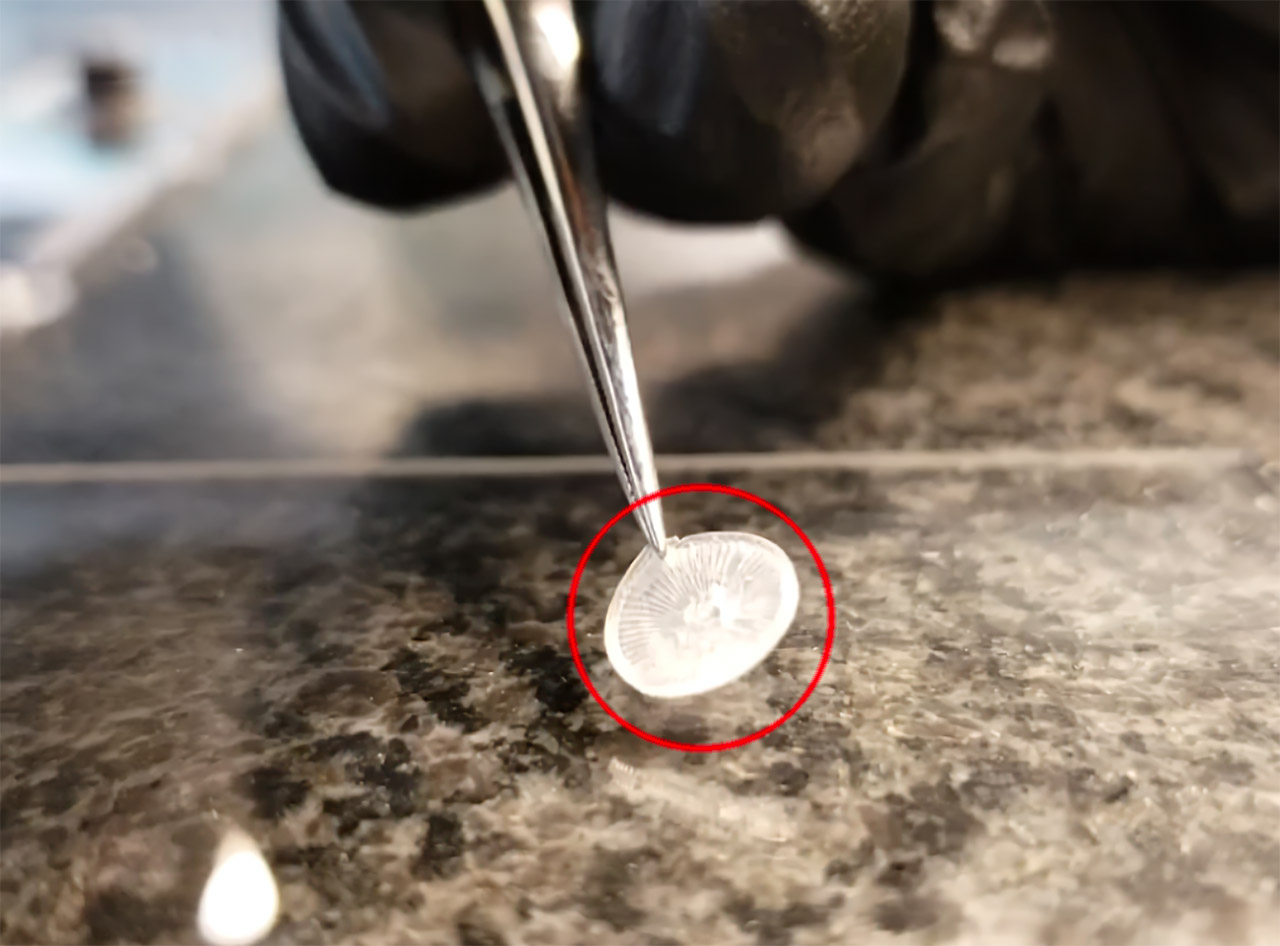 PhonoGraft 3D-Printed Human Eardrum