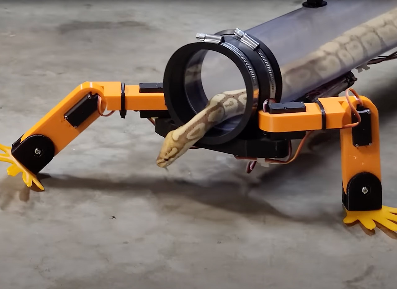 inventor-turns-snake-into-a-cyborg-with-four-robotic-legs
