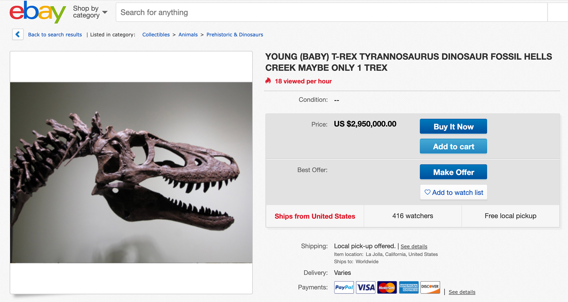 Tyrannosaurus Rex Fossil eBay