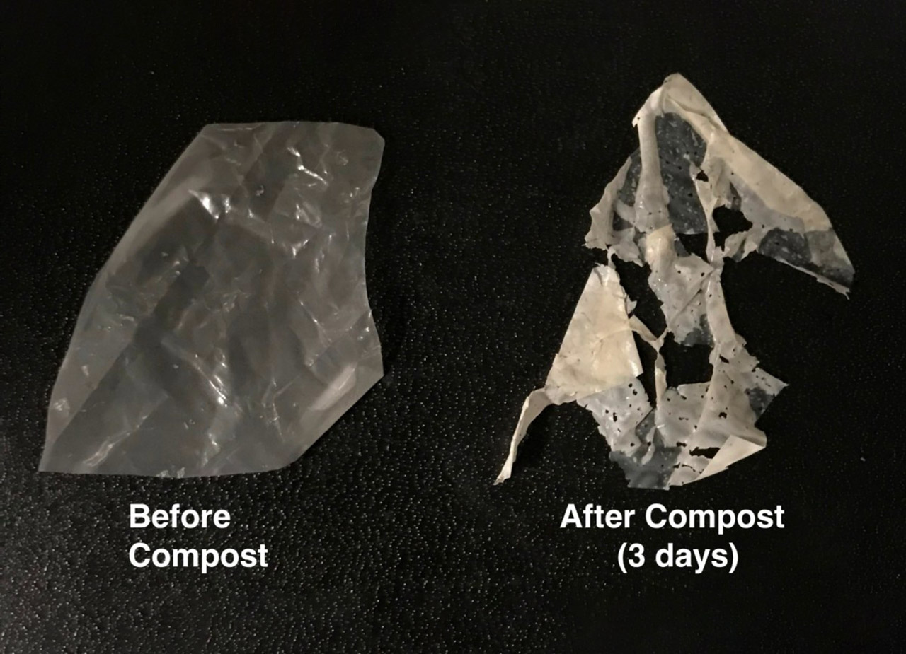 US Army UC Berkley Compostable Biodegradable Plastic